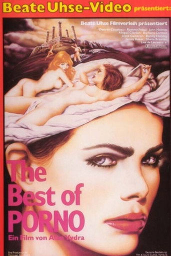 Movie poster for The Best of Porno (1980)
