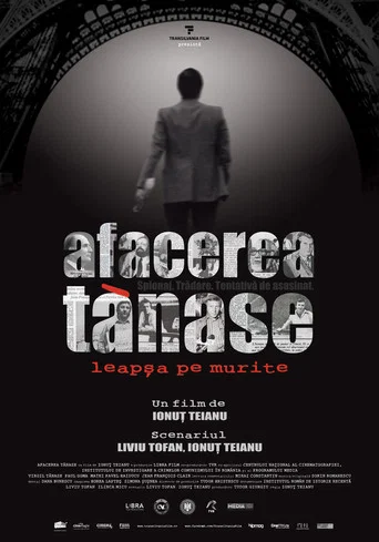 Movie poster for The Tanase Affair (2013)