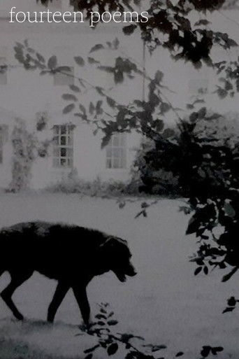 Fourteen poems poster