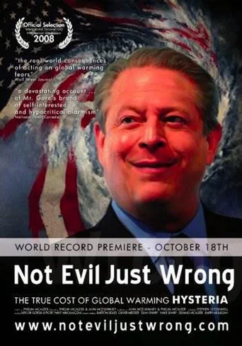 Movie poster for Not Evil Just Wrong (2009)