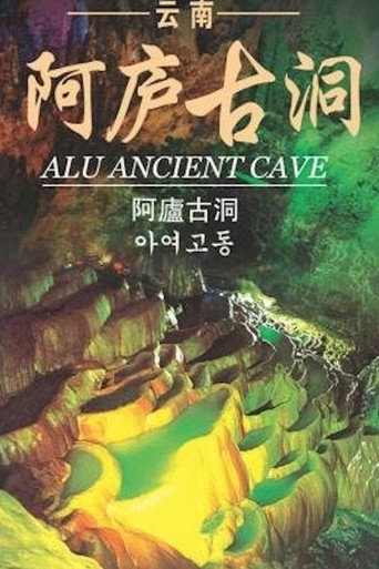 Movie poster for Faces of the Cave Wall (2002)