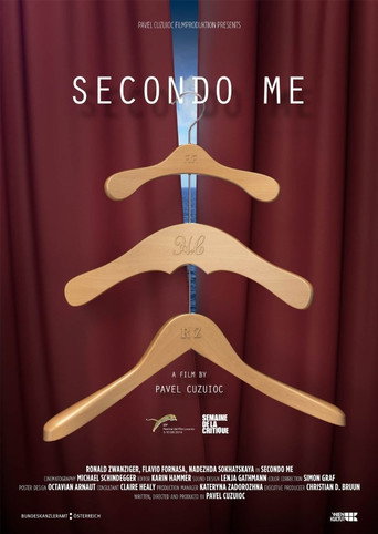 Movie poster for In My Opinion (2016)