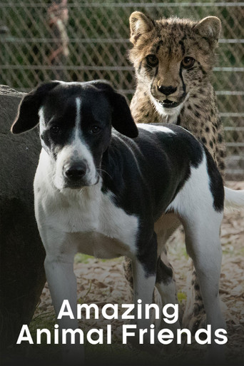 Series poster for Amazing Animal Friends (2020)