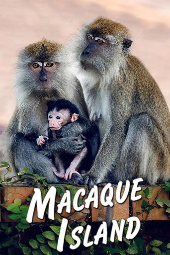 Series poster for Macaque Island (2024)