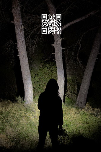 Movie poster for Q.R. (2025)