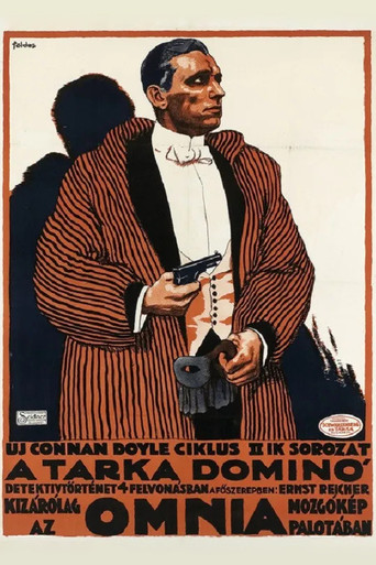 Movie poster for Der gestreifte Domino (1915)
