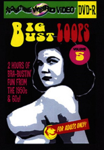 Movie poster for Big Bust Loops Volume 5 (2009)