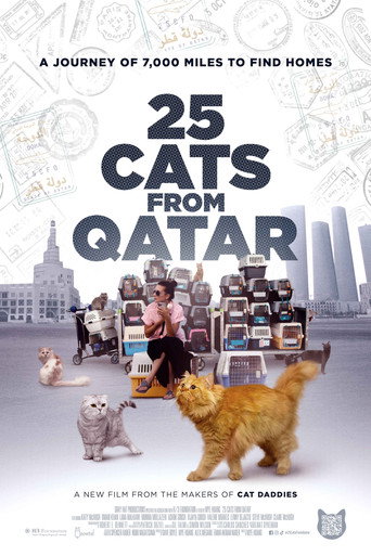 Movie poster for 25 Cats from Qatar (2025)