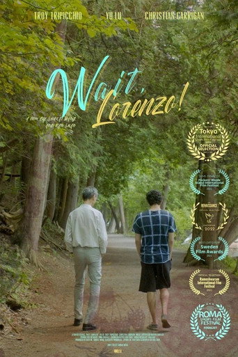 Movie poster for Wait, Lorenzo!