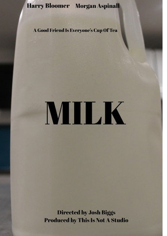 Movie poster for Milk