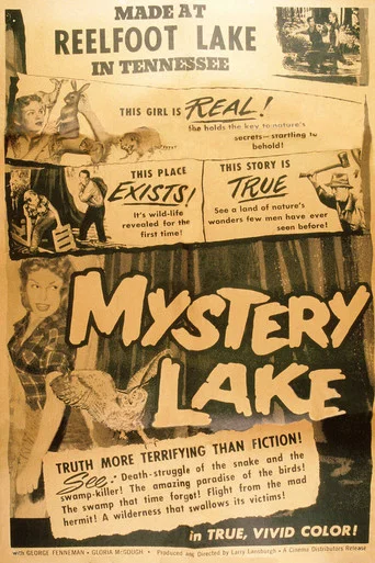 Movie poster for Mystery Lake