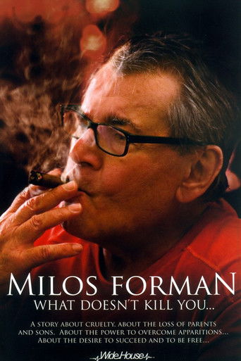 Miloš Forman: What Doesn't Kill You… poster