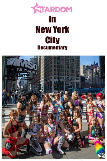 Movie poster for Stardom in NYC (2019)