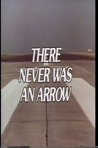There Never Was an Arrow poster