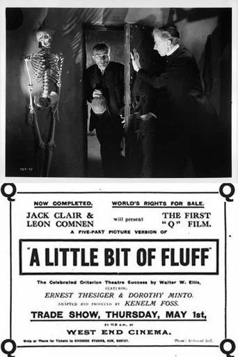 Movie poster for A Little Bit of Fluff (1919)