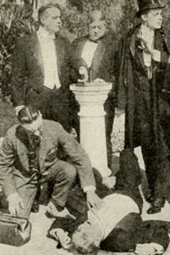 Movie poster for The Spider and Her Web (1914)
