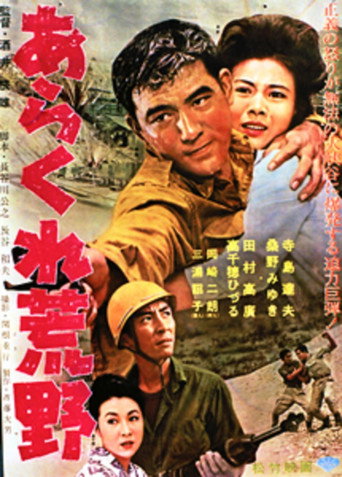 Movie poster for Ara kure kōya (1963)