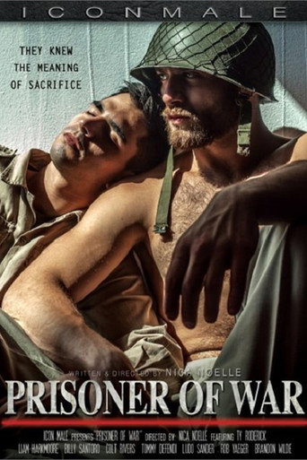 Movie poster for Prisoner of War (2014)