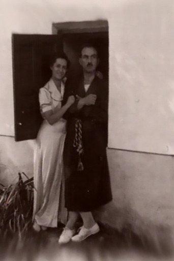Movie poster for Angelos' Film (2001)