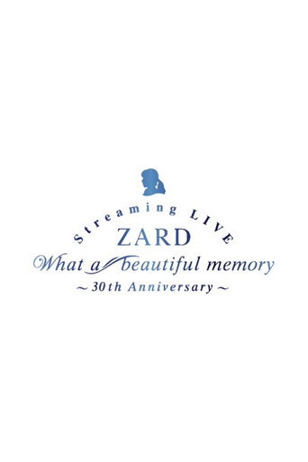 Movie poster for What a beautiful memory ~30th anniversary (2021)