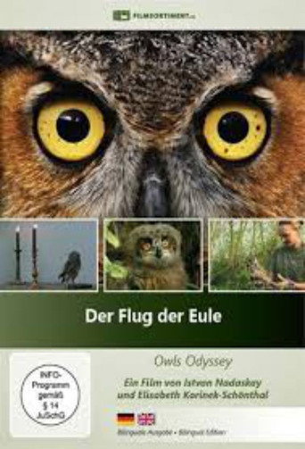 Der Flug der Eule poster