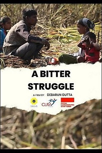 Movie poster for A Bitter Struggle (2025)