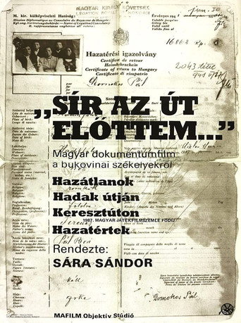 Movie poster for The Road Is Crying in Front of Me (1987)
