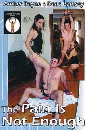 Movie poster for The Pain Is Not Enough (2010)
