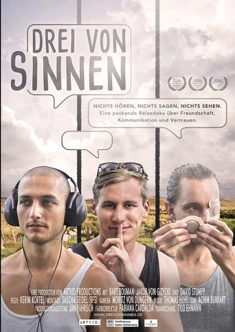Movie poster for Drei von Sinnen (2017)