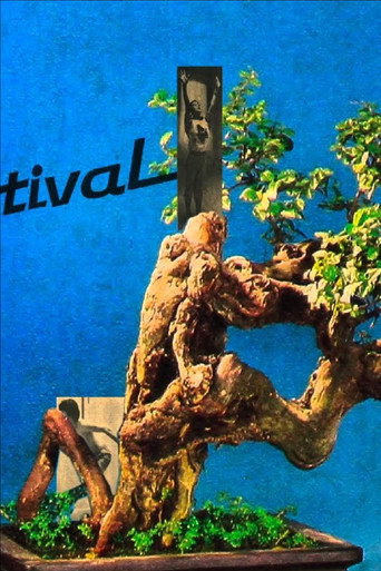 HAFF Leader 2016 poster