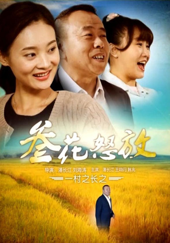 Movie poster for 一村之长之参花怒放 (2017)