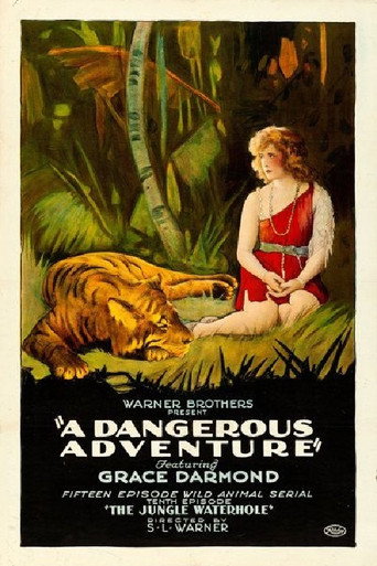 Movie poster for A Dangerous Adventure (1922)