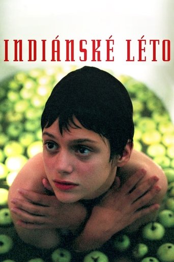 Movie poster for Indian Summer (1995)