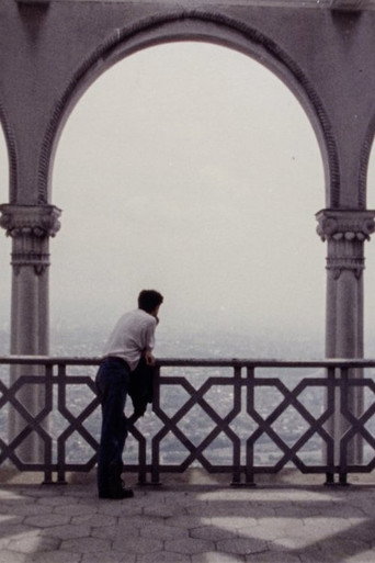 During the Many Years poster