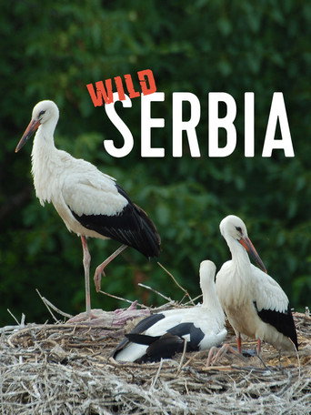 Movie poster for Wild Serbia (2011)
