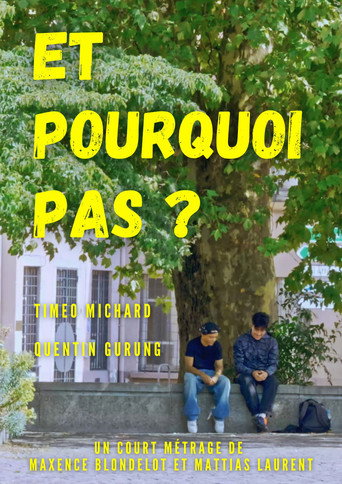 Movie poster for Et Pourquoi Pas ?