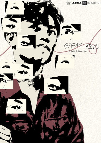 Movie poster for Stray Kids (2025)
