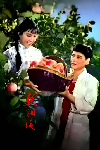 Movie poster for 朝阳沟 (1963)