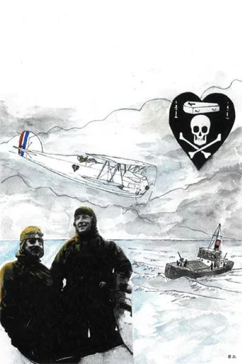 Movie poster for L'Énigme de l'oiseau-blanc (1999)