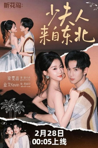 少夫人来自东北 poster