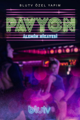 Series poster for The Nightclub: Stories from Turkish Nightlife (2019)