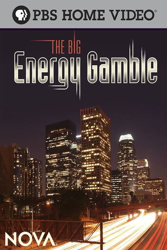 Movie poster for The Big Energy Gamble (2009)