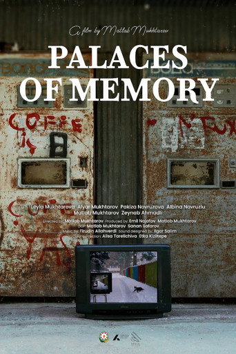 Movie poster for Palaces of Memory (2025)