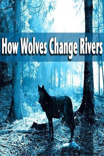 Movie poster for How Wolves Change Rivers (2014)
