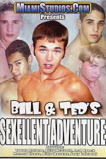 Movie poster for Bill & Ted's Sexellent Adventure (2004)