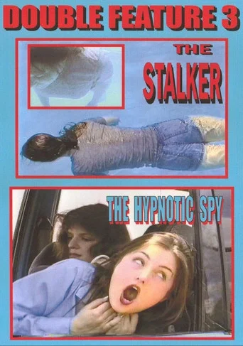 Movie poster for The Stalker (1997)