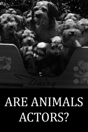 Movie poster for Are Animals Actors? (1945)
