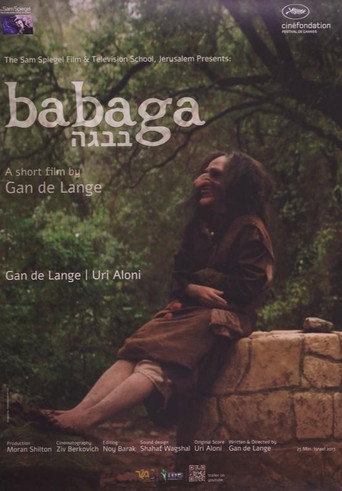 Movie poster for Babaga (2013)