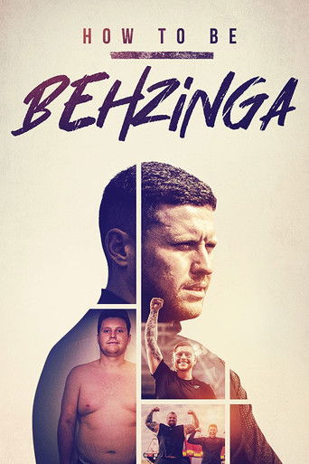 How to Be Behzinga poster
