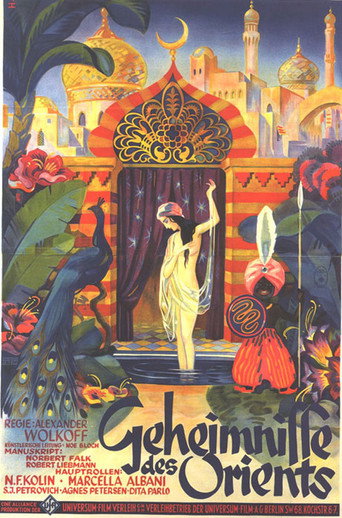 Movie poster for Secrets of the Orient (1928)